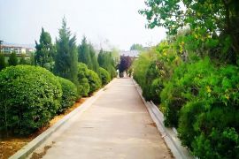 园区道路