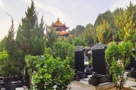 墓区绿化