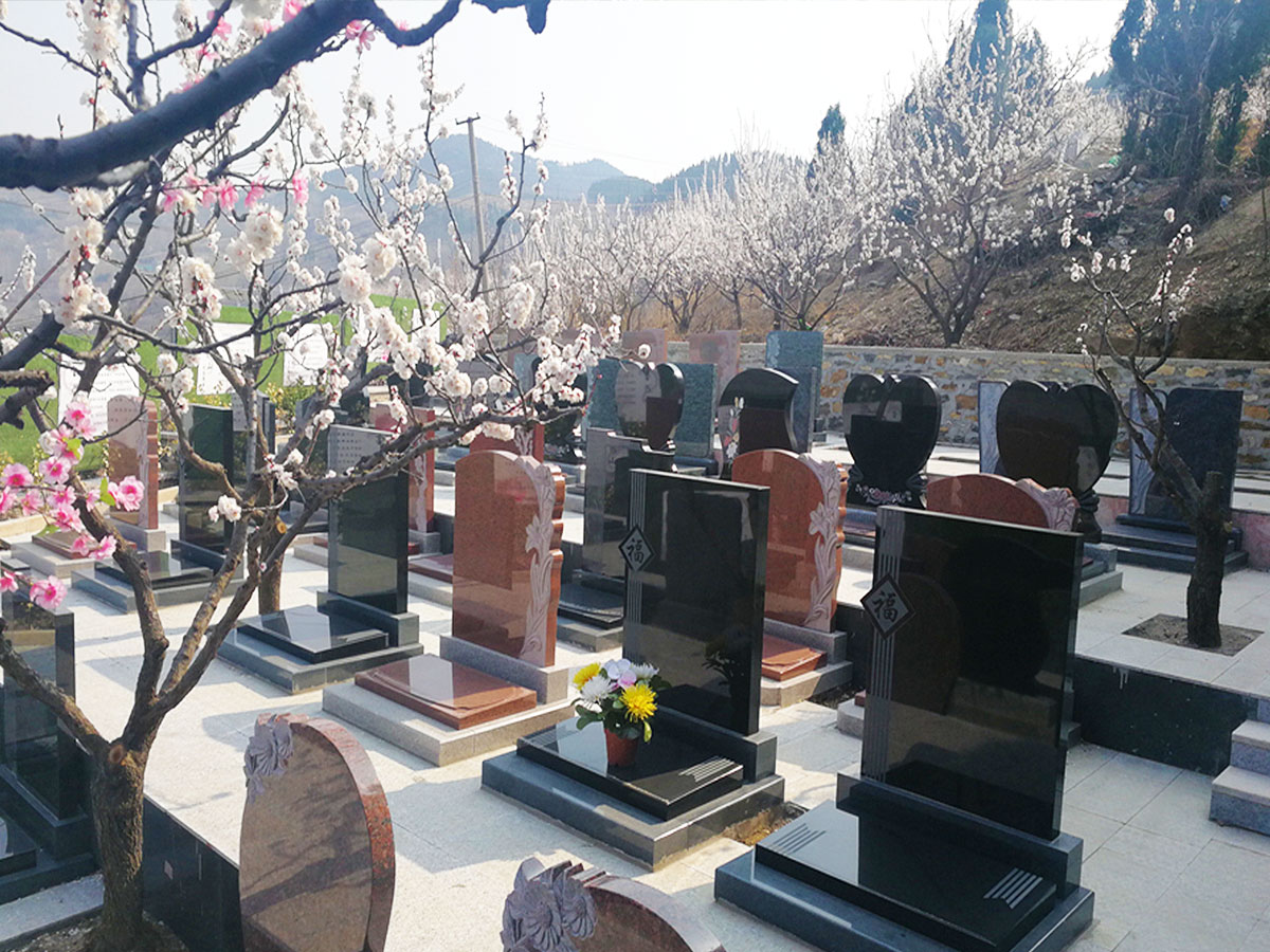 墓区图片
