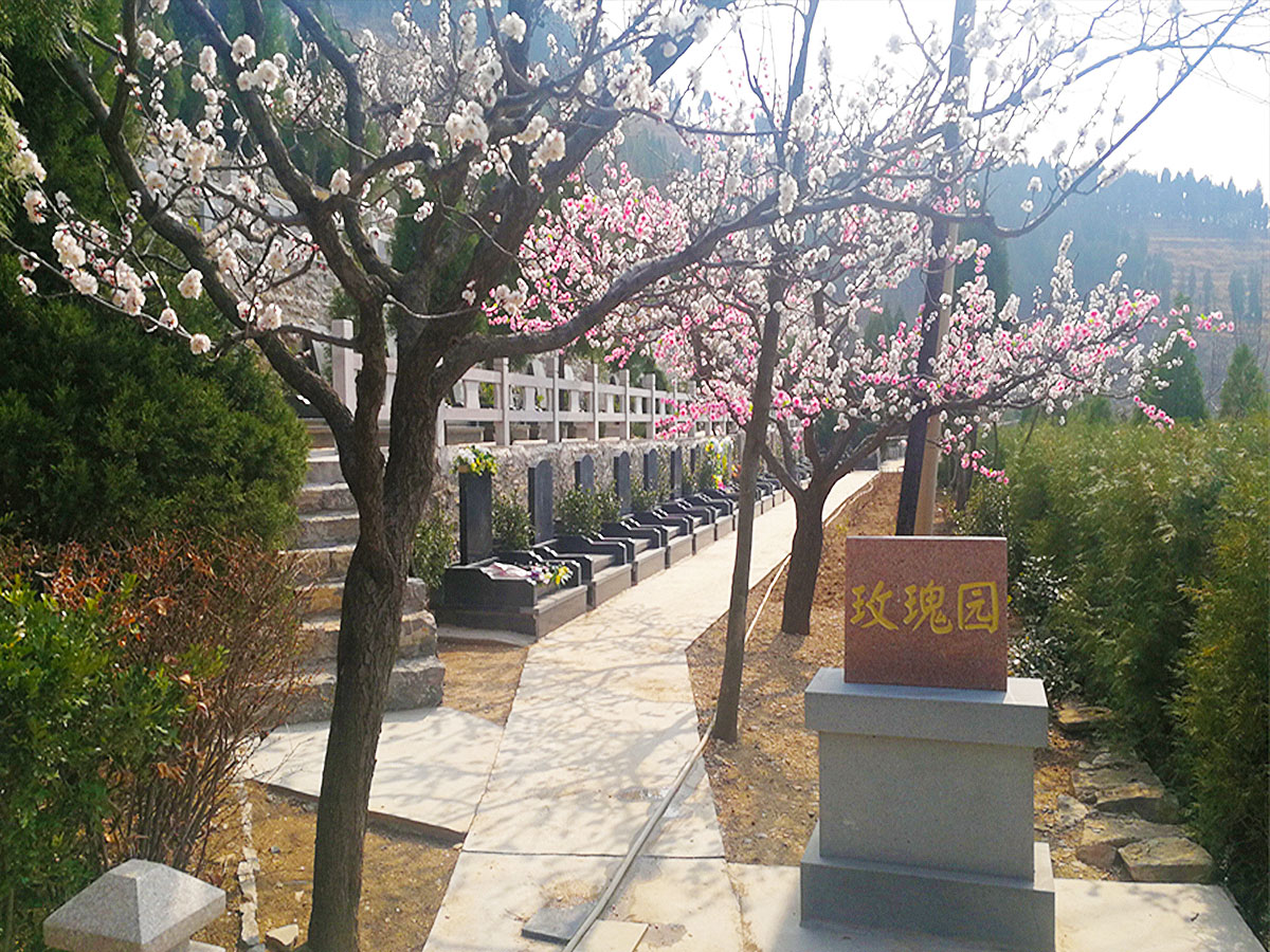 春日风景