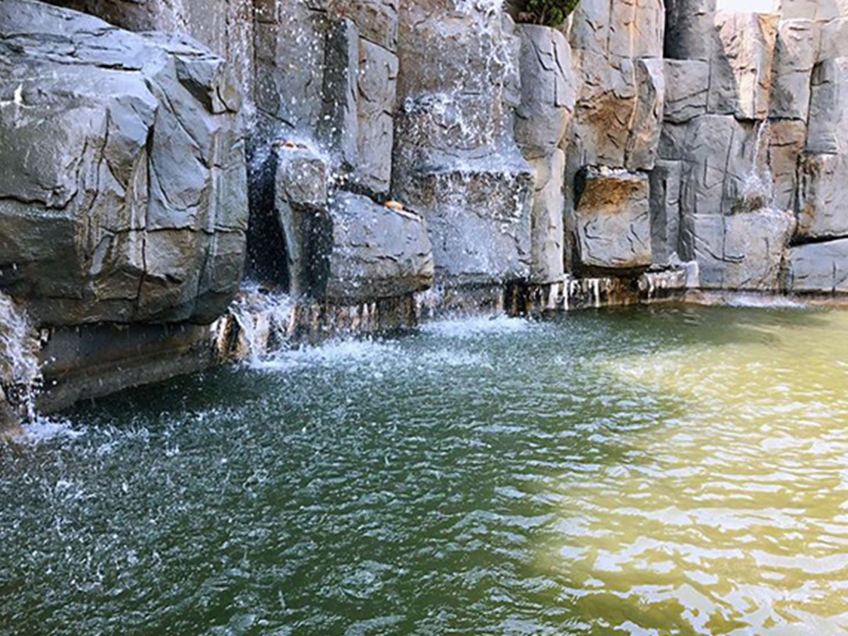 陵园湖水
