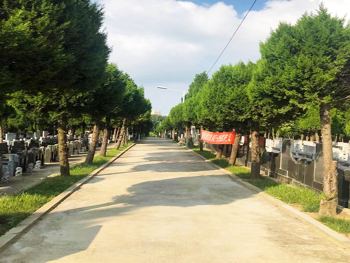 陵园主路