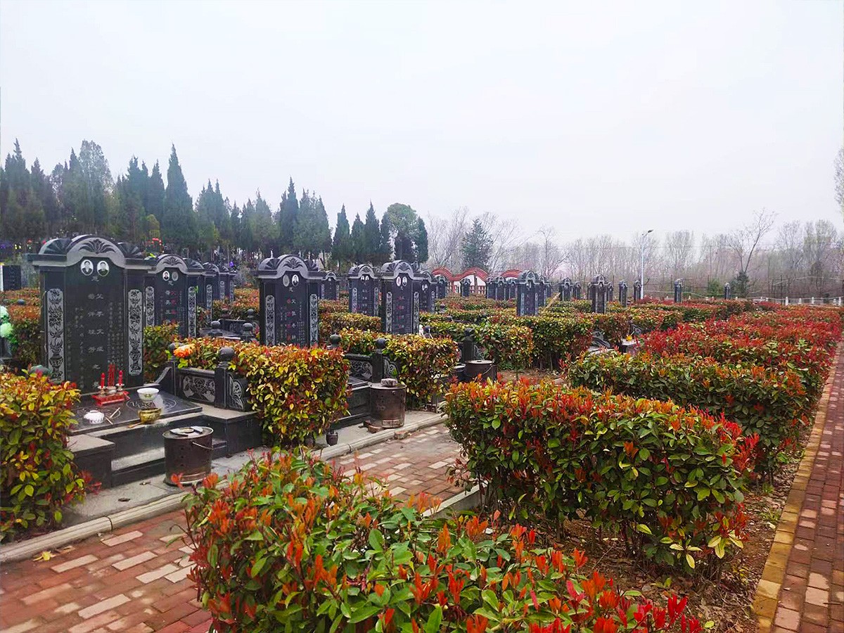 墓区环境
