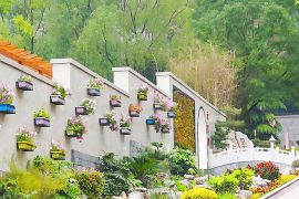 园区风景