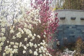 春暖花开