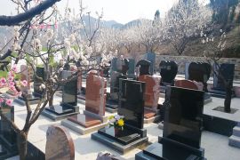 墓区图片