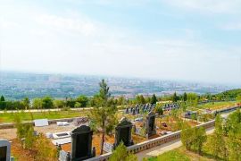春日风景