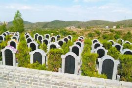 墓区图片