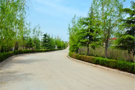 陵园主路