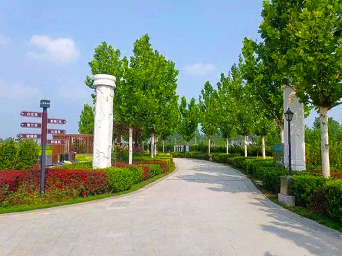园区道路