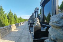 墓区小路