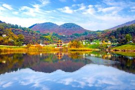 园区景色