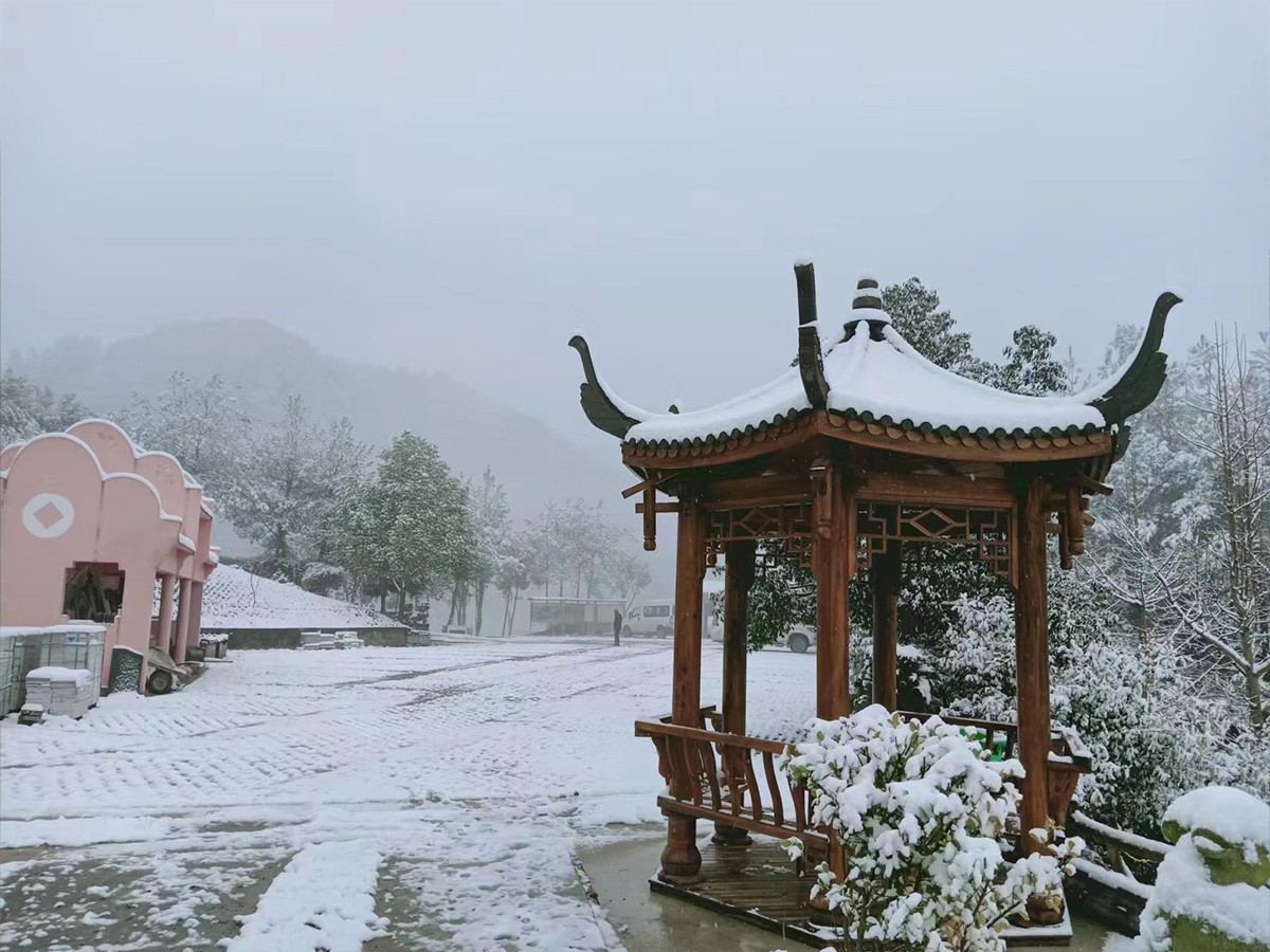冬日雪景
