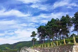 园区小路