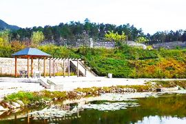 墓区池塘