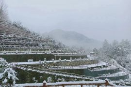 墓区雪景