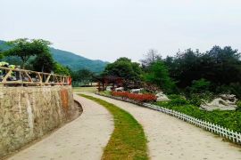 陵园小路