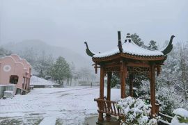 冬日雪景
