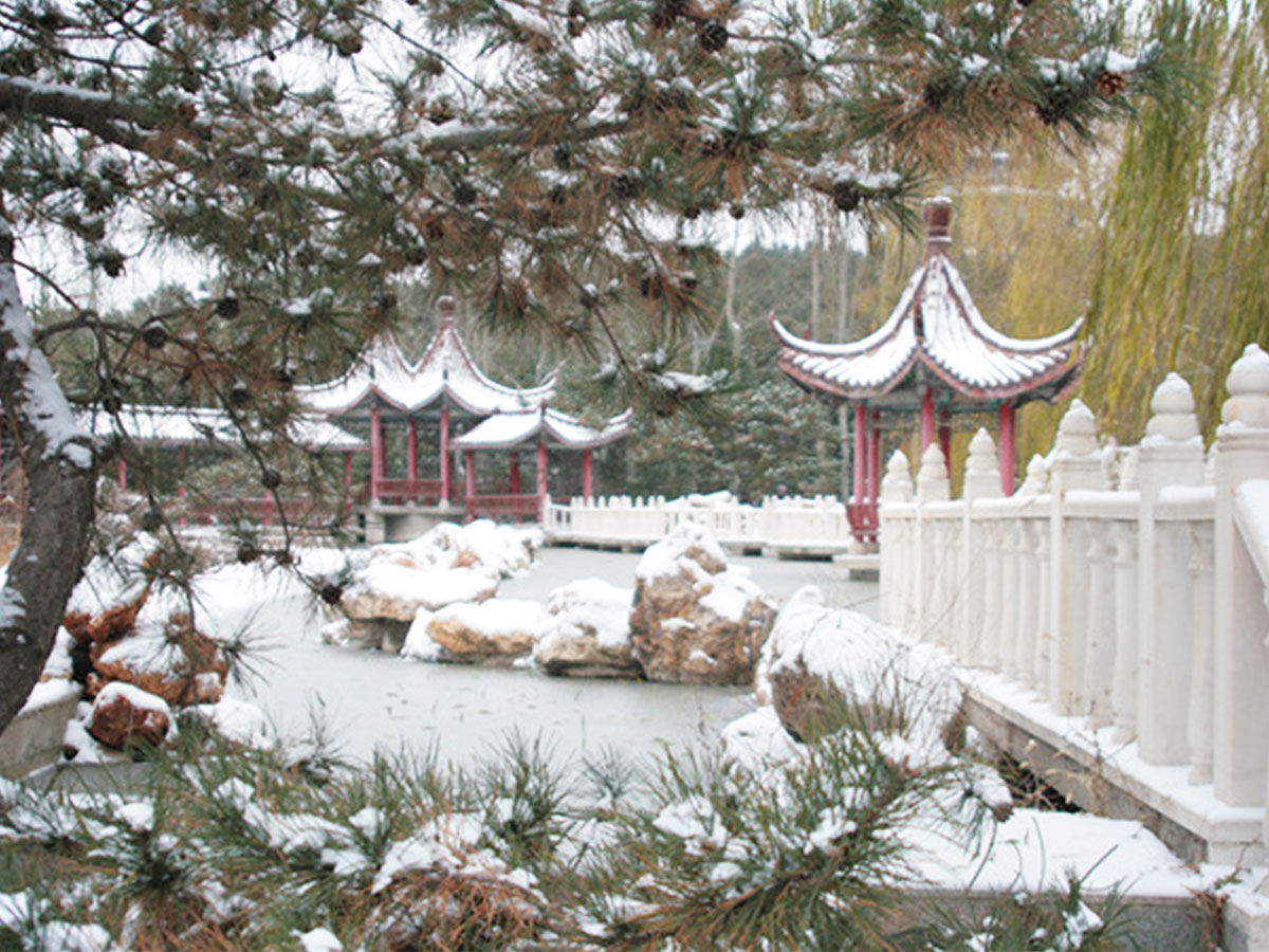 冬日雪景