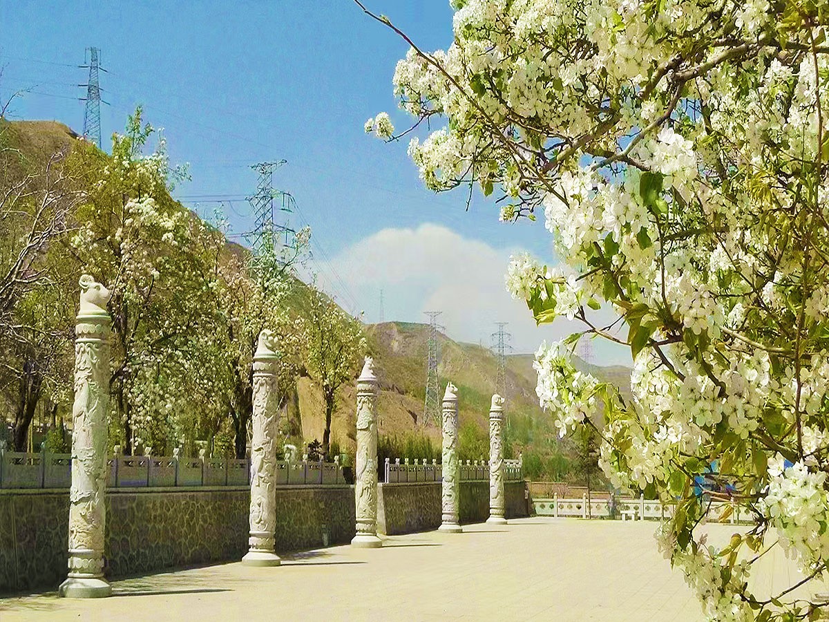 园区主路