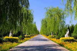 陵园主路