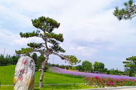 春风和煦
