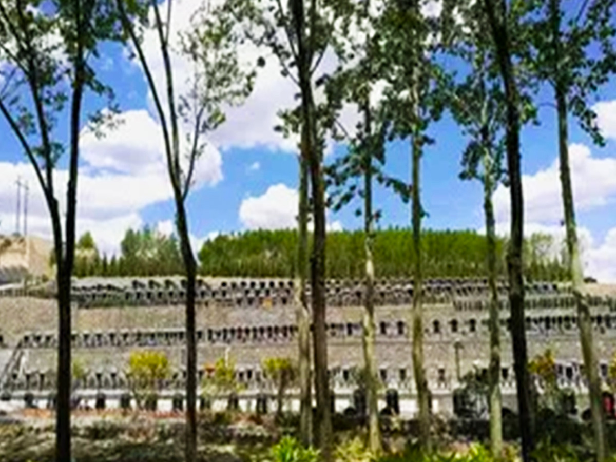 风和日丽