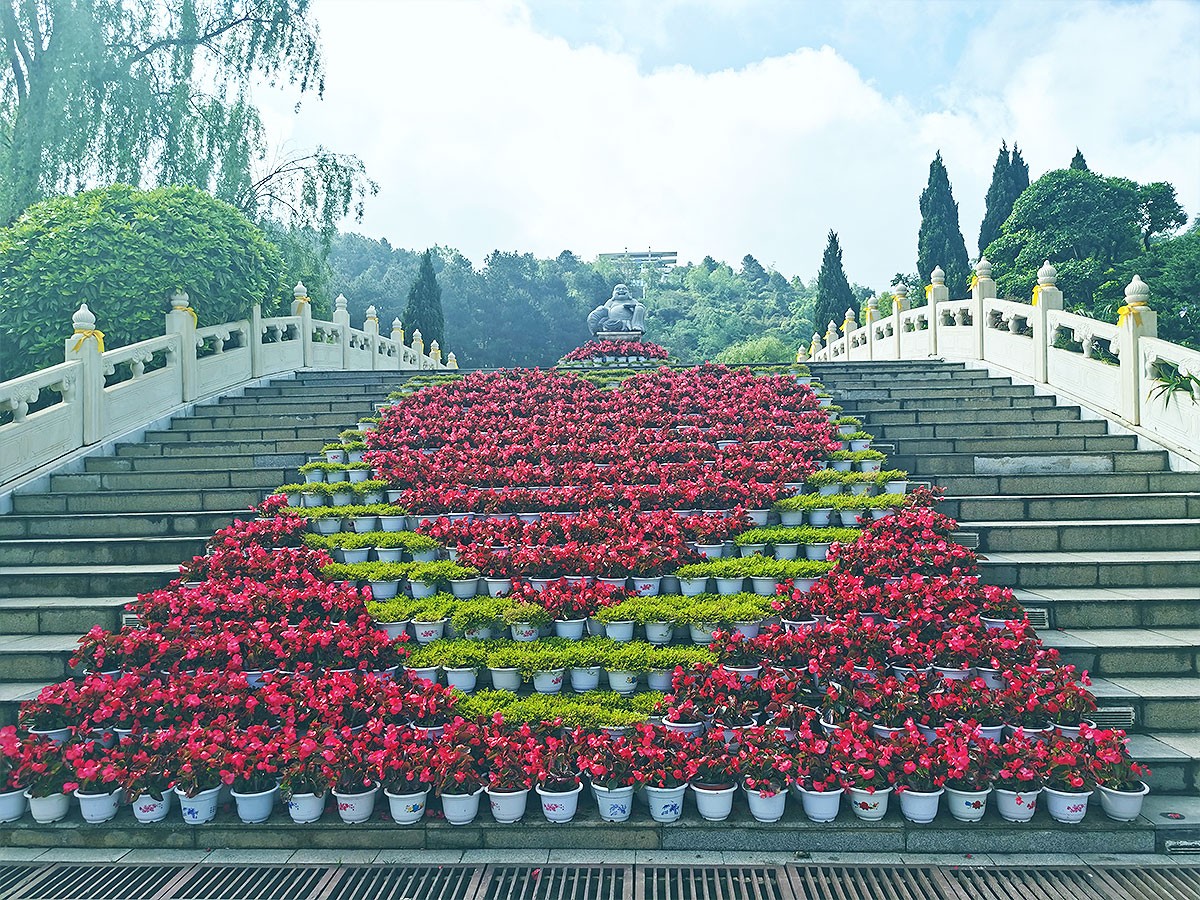 花团锦簇