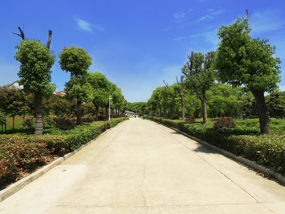 陵园主路