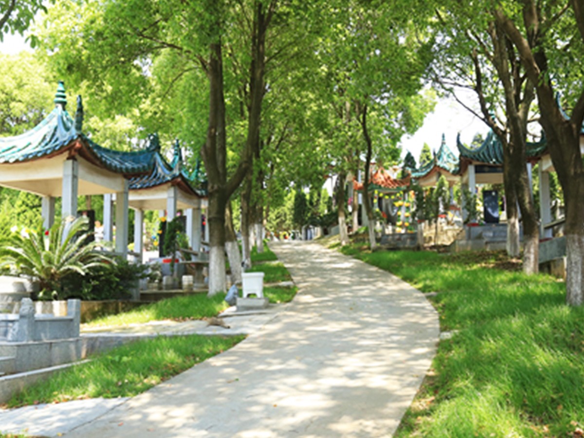 陵园小路