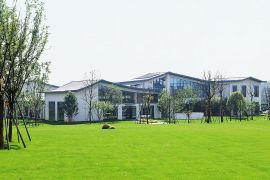绿树草地