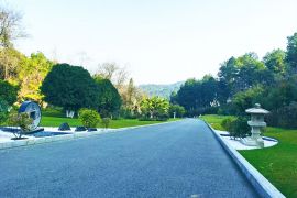 园区道路