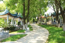 陵园小路