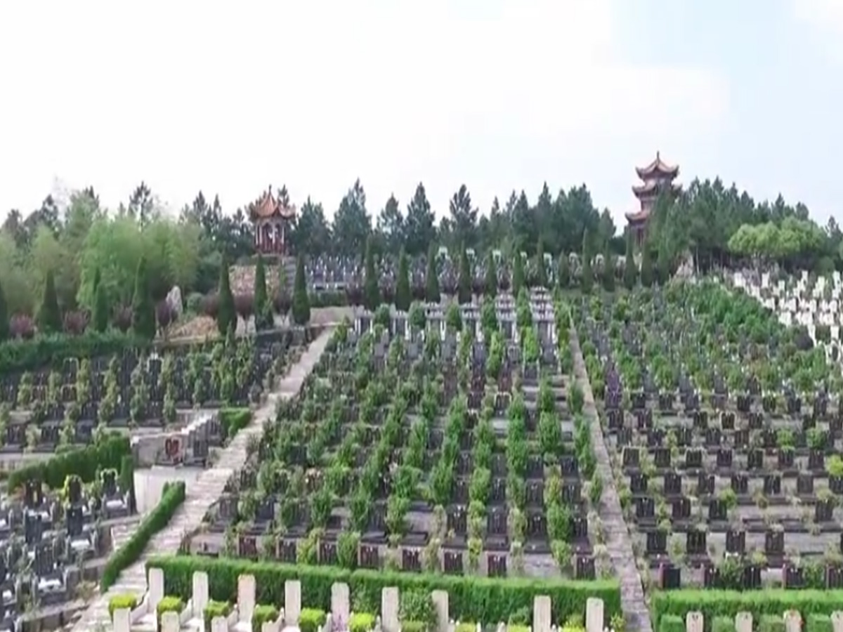 墓区图片