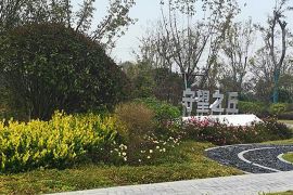 绿树草地