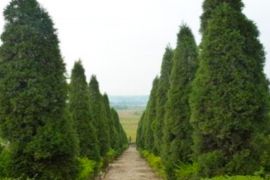 幽静深远