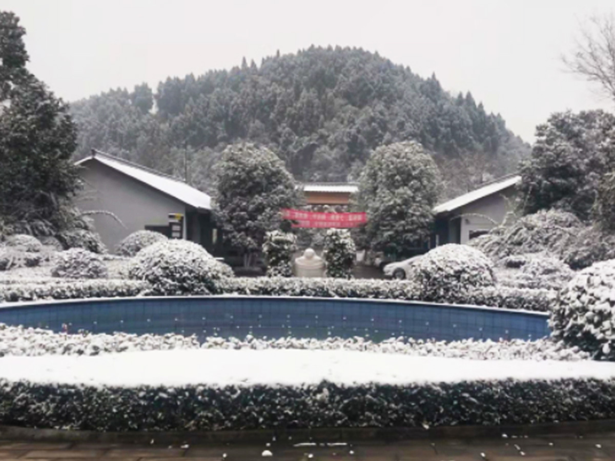 冬日雪景