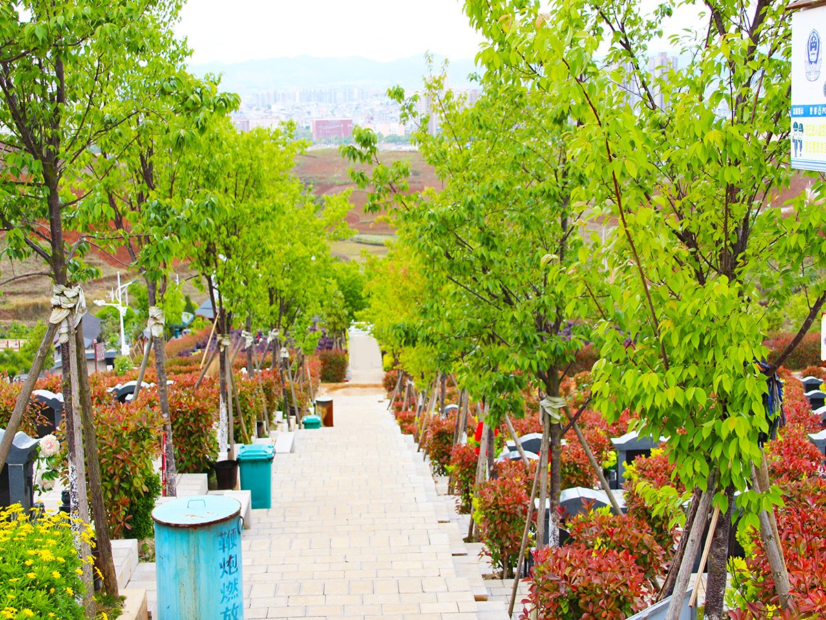 墓区小路