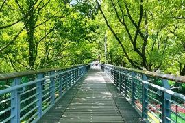 陵园小路
