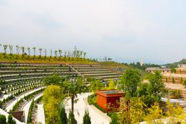 陵园远景
