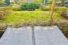 园区图片