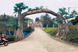 陵园道路