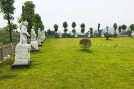 绿树草地