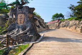 陵园主路