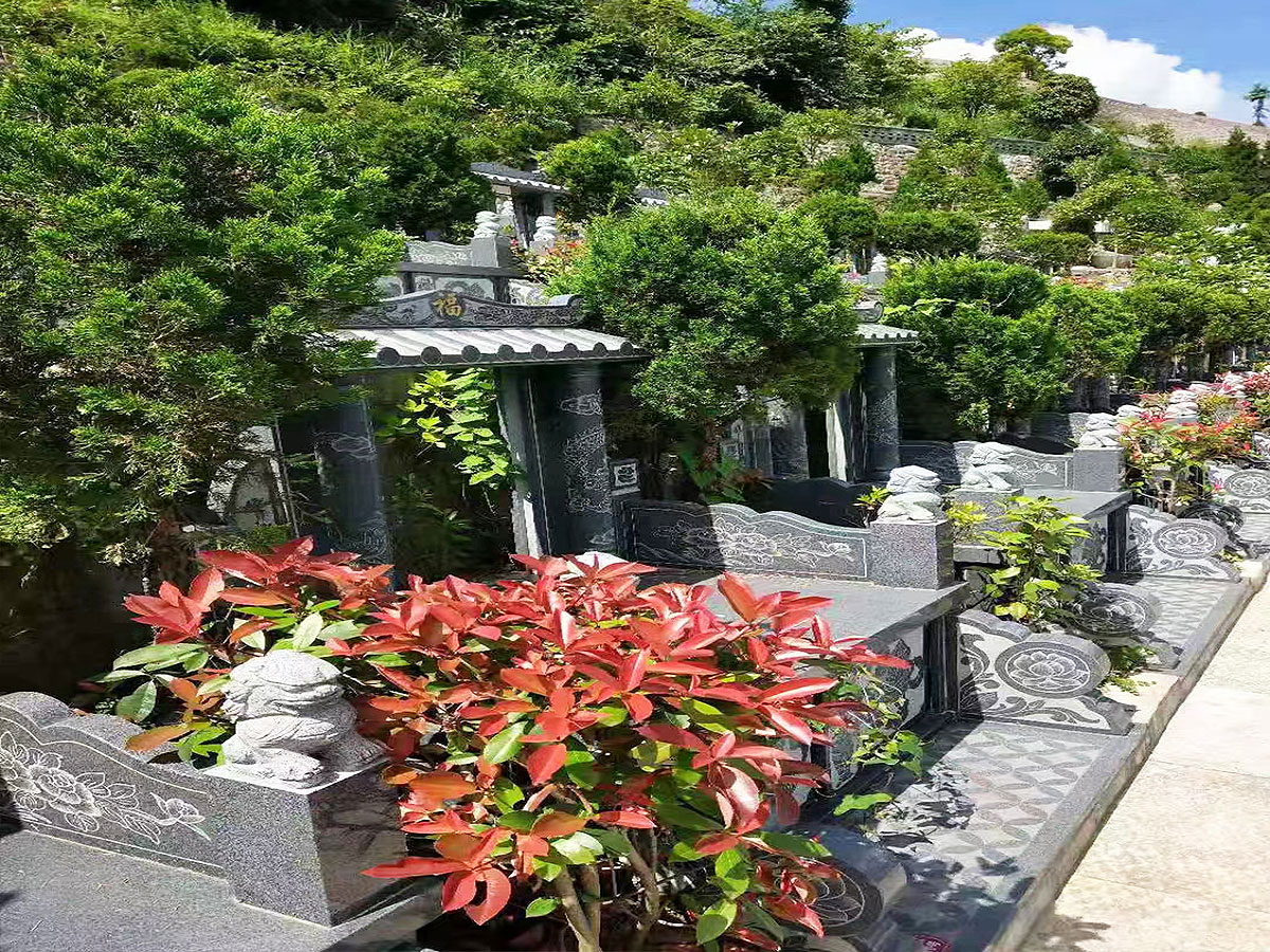 墓区鲜花