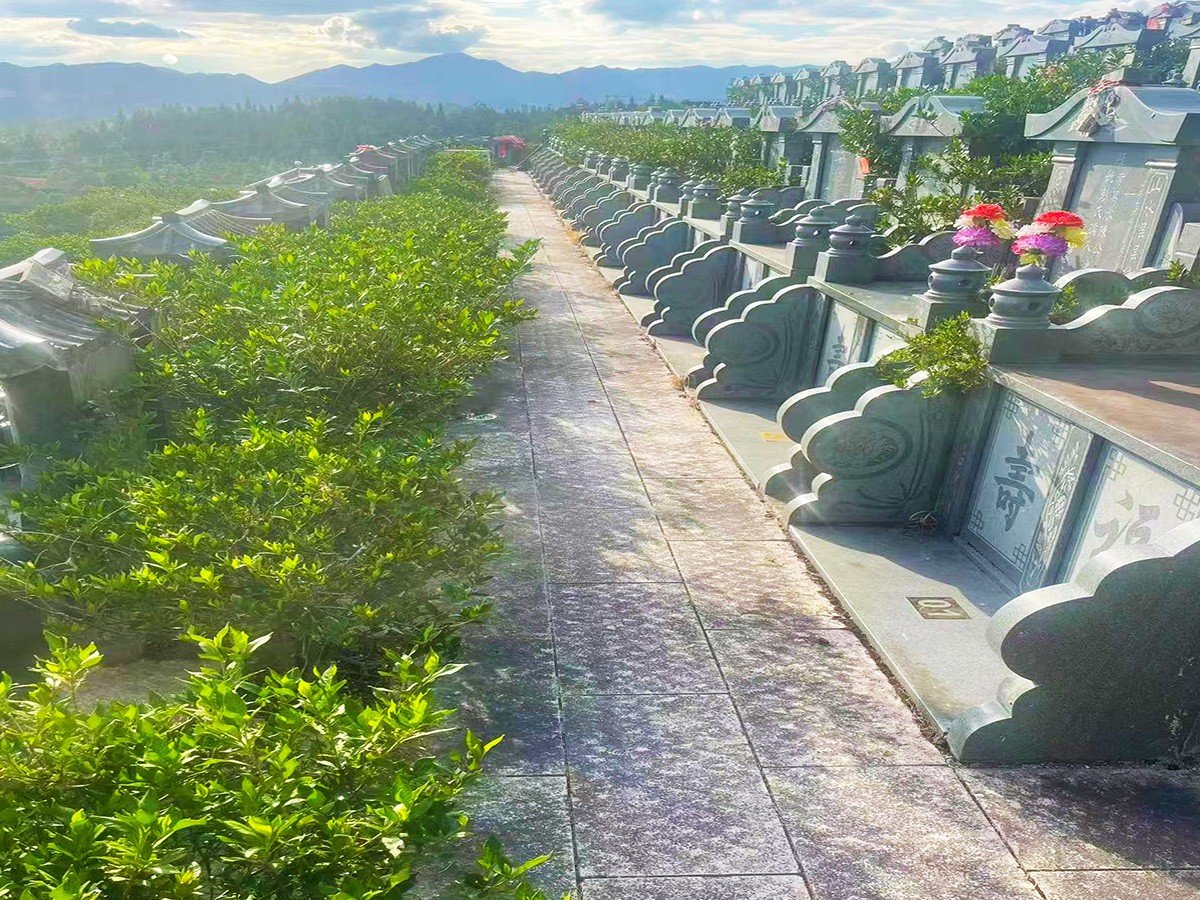 陵园小路