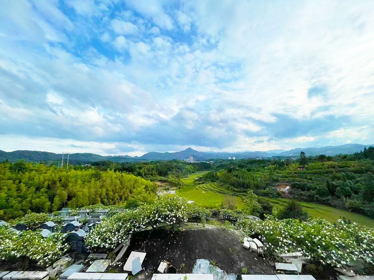 园区远景