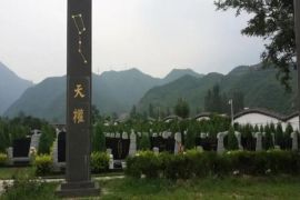 墓区图片