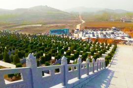 墓区远景