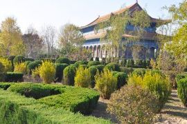 园区绿化